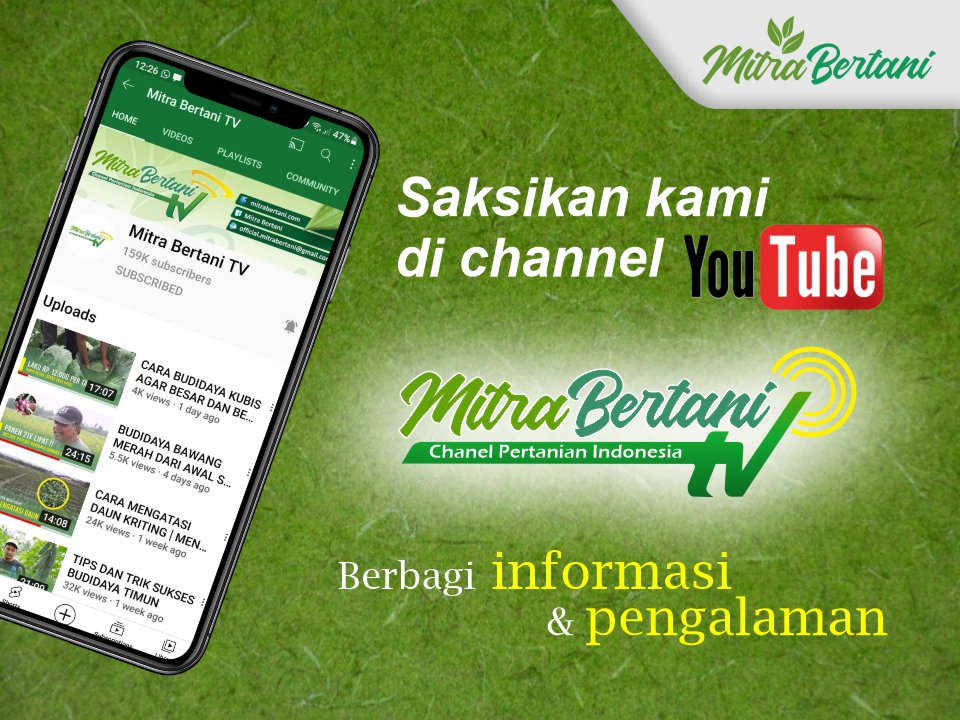 Kanal Youtube Kami