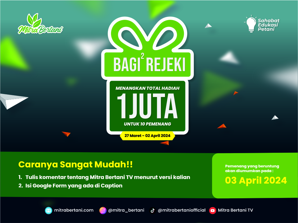 MITRA BERTANI BAGI-BAGI THR