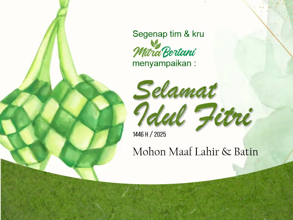 Selamat Idul Fitri 1446 H