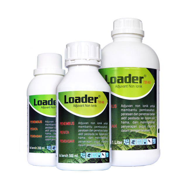LOADER