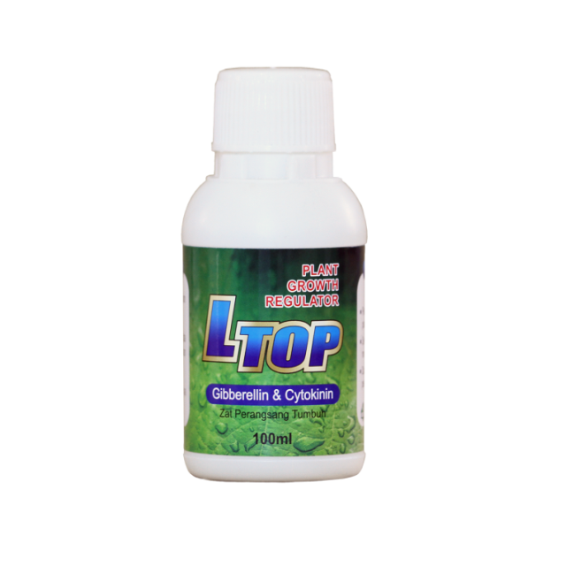 L TOP